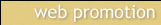 web promotion