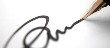pluma