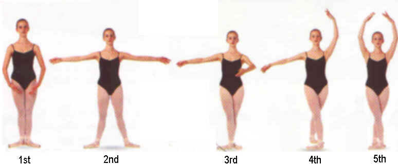 basic ballerina moves pictures to pin on pinterest pinsdaddy cheer motions chart