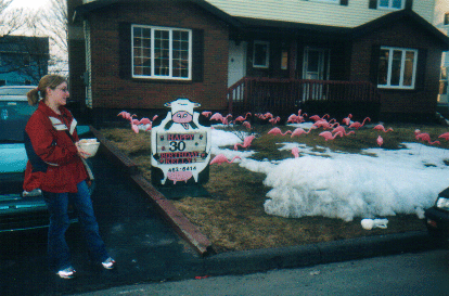 Nadine's brother's house