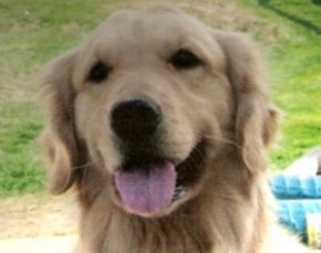 BAILEY