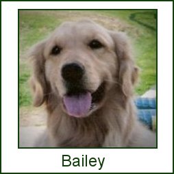 Bailey