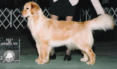 Skye