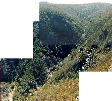 BARON GORGE, EAST GIPPSLAND,VIC, SNOWY RIVER COUNTRY