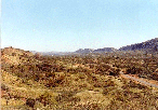 EAST OF ALICE SPRINGS