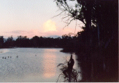 SUNSET OVER THE MURRAY RIVER