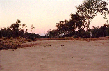 THE FINK RIVER