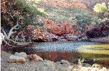 NT, Gorge