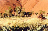 ULURU