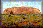 ULURU