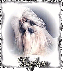 Dylan's page
