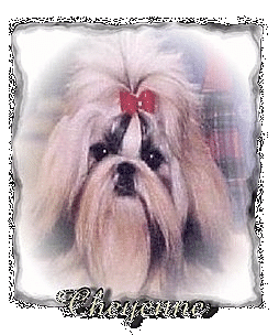 Cheyenne's page