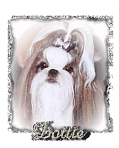 Dottie's Page