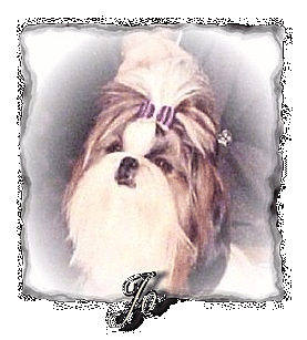 Jo's page