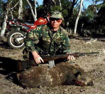 dead feral pigs