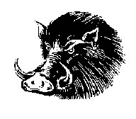 boar.gif