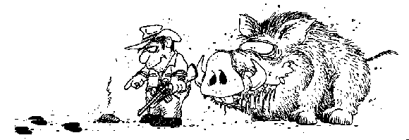pig2.gif