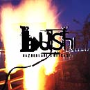 Bush - Razorblade Suitcase won me over though their first album was better.