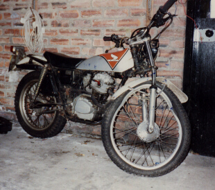 ty125.jpg (78556 bytes)