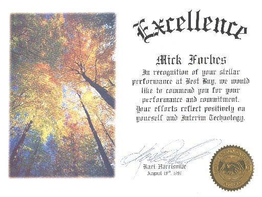 Interim Excellence Award