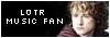 Music Fan