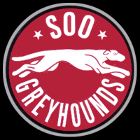 Click here to visit the GREYHOUNDS Home page
