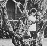 MICKY AND SAMANTHA IN HAWAII