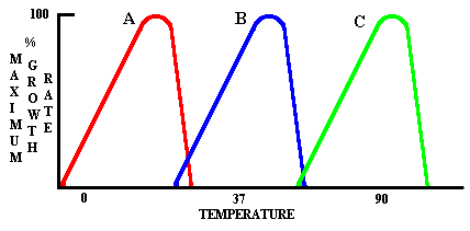 101optimalTemp4.gif (3585 bytes)