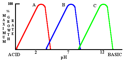 101optimalpH4.gif (3630 bytes)