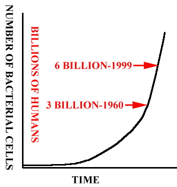 growthcurve.gif (7456 bytes)