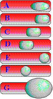 spore forming bacteria spore forming bacteria