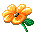 aniflower