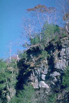 Bluff