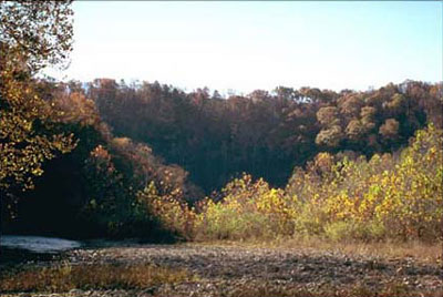Eaton Ford