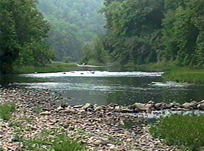 Buck Hollow