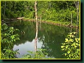 Upper pond