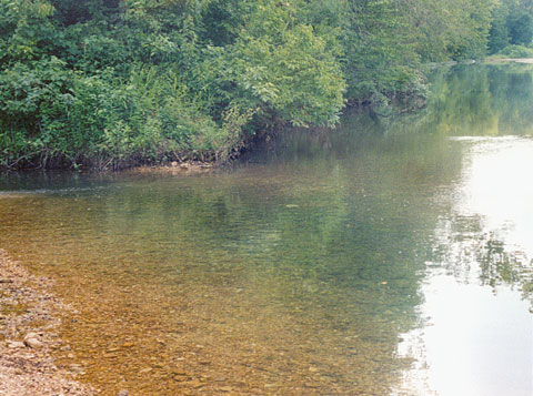 Little Pine Creek