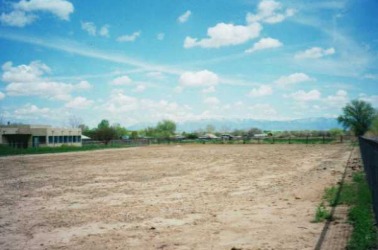 part of the back yard