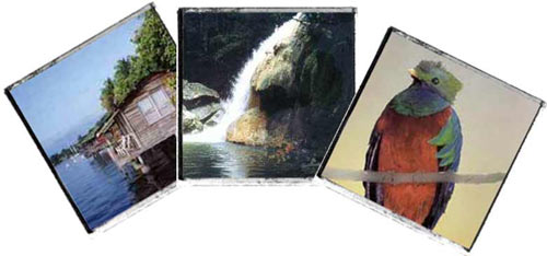 Guatemala's natural treasures include diverse flora and fauna and scenic places