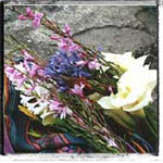 Flowers for sale in the marketplace
