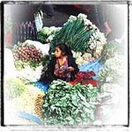 Woman selling flowers in the market