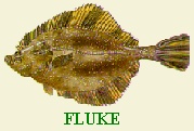 CLICK HERE