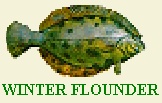CLICK HERE
