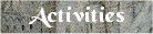 Quizes, Trivias, Contests