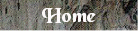 Go To The Home Page