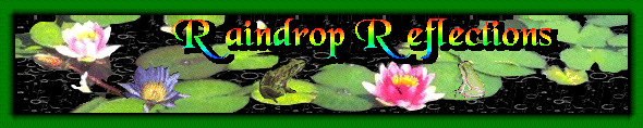 A new site that promises many enjoyable pages