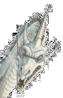 dragon1