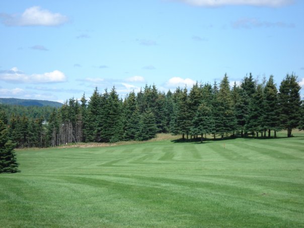 Midland Meadows Hole 8