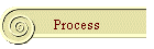 Process