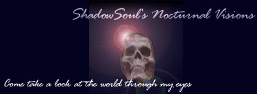 Nocturnal Visions Banner
